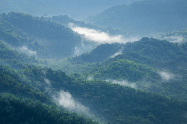 Belghar Nature Camp, Daringbadi