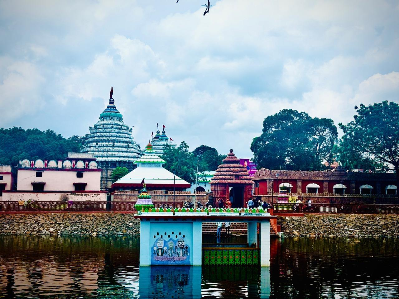 Vikram Khol- The Old Roof of A Protected Forest